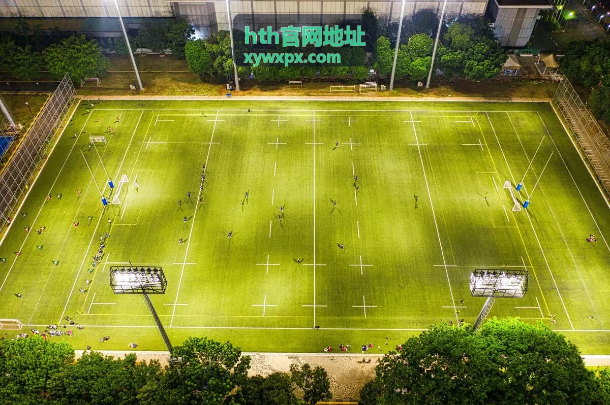 hth官网地址账号安全设置与二次验证绑定操作示意